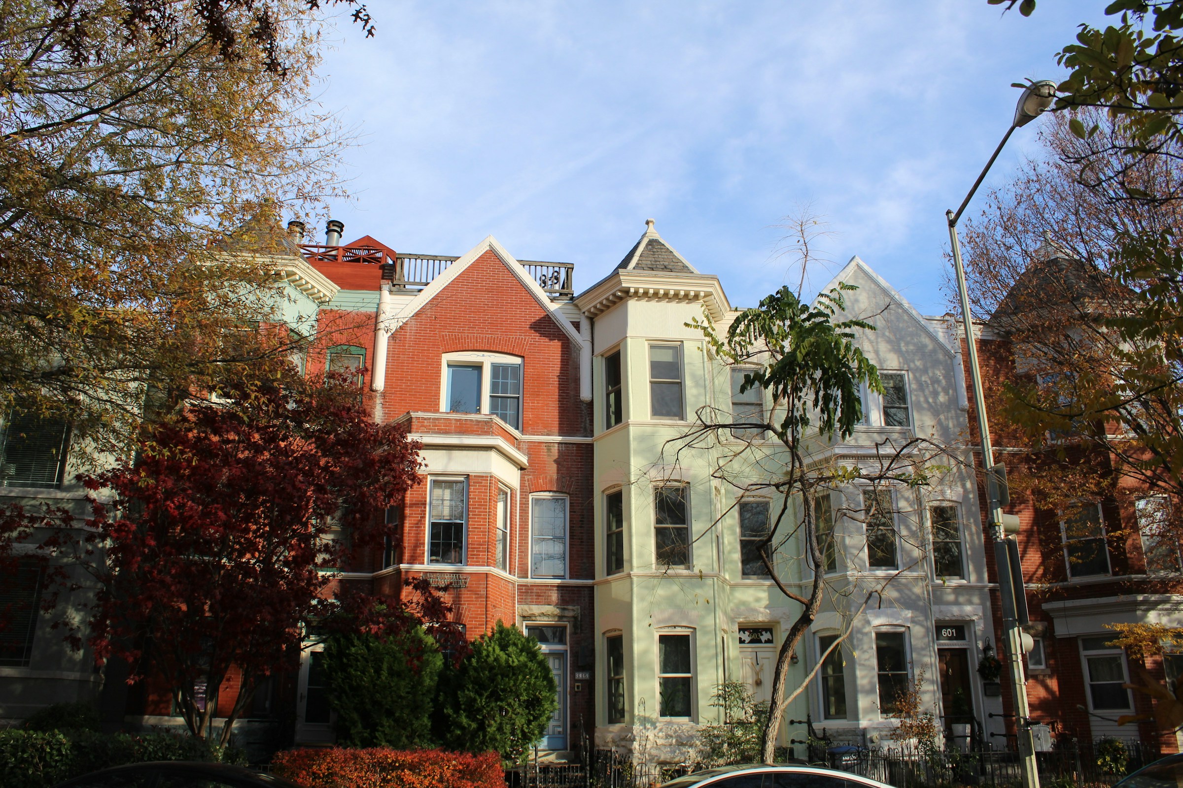 Tree-lined residential neighborhood in the Washington, DC area